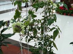 -南京财经大学（仙林校区）-图书馆