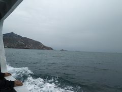 -阿军排档·烧烤