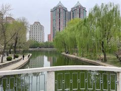 -团结湖公园