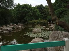 -神仙树公园