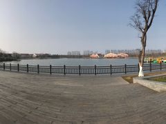 -上海长兴岛郊野公园