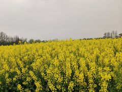 -中国天府农业博览园