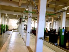 -阿尔卡特拉斯岛