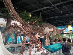 -国家自然博物馆