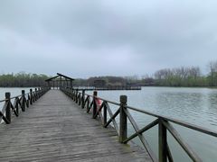-溱湖国家湿地公园