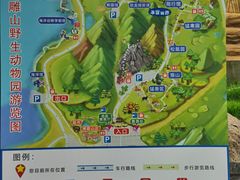 -西霞口神雕山野生动物世界