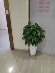 -安徽合肥韩美整形外科医院