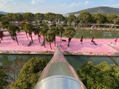 -苏州太湖西山岛开心农场