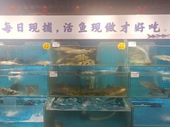 -胖姐渔村(中源大道店)