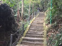-七仙岭温泉国家森林公园