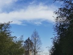-桃花岛公园