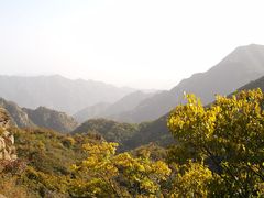 -大岭沟猕猴桃谷风景区