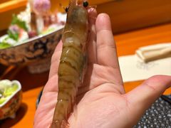 -月龍吟(朝龙汇店)