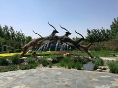 -武清南湖绿博园