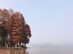 -四明湖