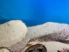 -龙兴食府(锦绣家园店)