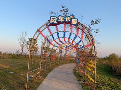 -洪湖湿地生态园