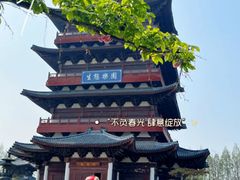 -祥源·阜阳生态乐园