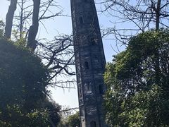 -上海佘山国家森林公园天马山园