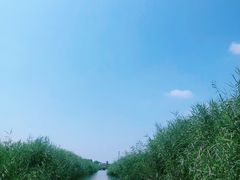 -白洋淀景区