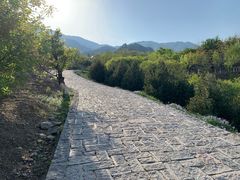 -阳台山自然风景区