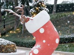 -深圳湾万象城(南山店)