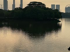 -顺峰山公园