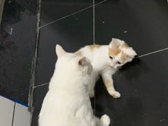 -富侨养生(康乾店)