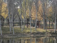 -东郊湿地公园