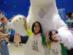 -烟台海昌鲸鲨海洋公园