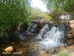 -长白岛森林公园