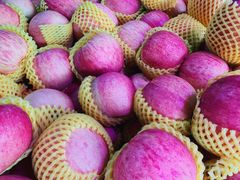 -红星农博物流中心