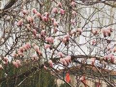 -东华门大街小区
