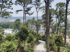 -火炉山森林公园