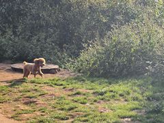 -长虫山生态公园风景林