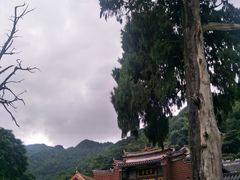-灵光寺