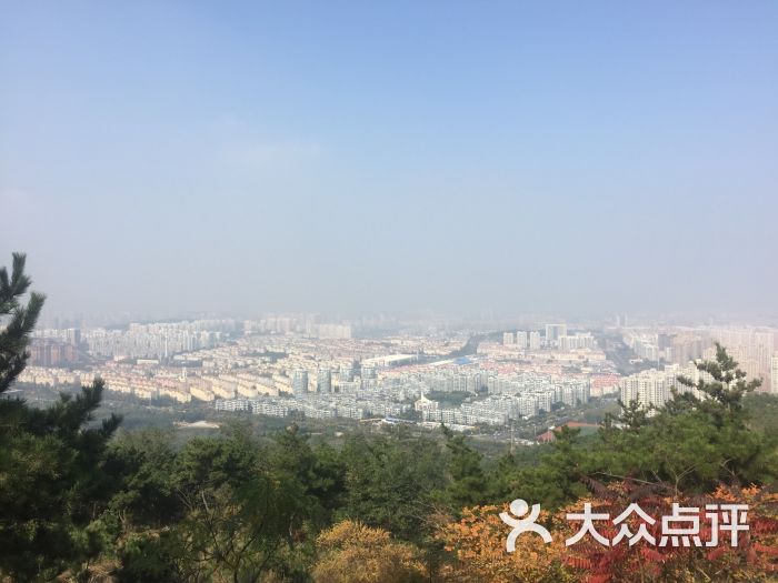 浮山森林公園-圖片-青島周邊遊-大眾點評網