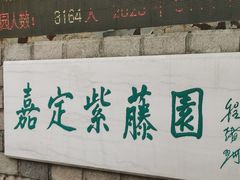-嘉定紫藤园