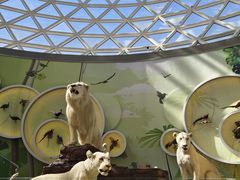 -陕西自然博物馆