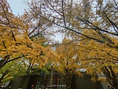 -四川大学(华西校区)