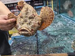 -有腥气私房菜·寻味顺德