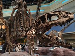 -安徽省地质博物馆