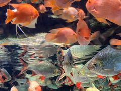 -太平洋海底世界