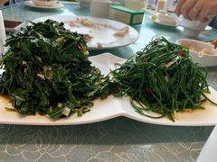 沙葱拼枸杞苗-老毛手抓(长城路店)