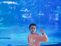 -烟台海昌鲸鲨海洋公园