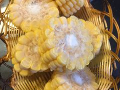 -姥家大锅台水库渔家