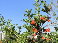 -汉长安城未央宫国家考古遗址公园