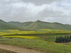 -扁都口生态休闲旅游区