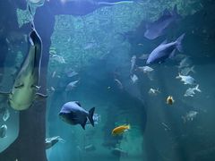 -福州罗源湾海洋世界旅游区