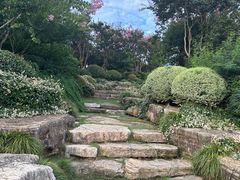 -桐乡凤凰湖